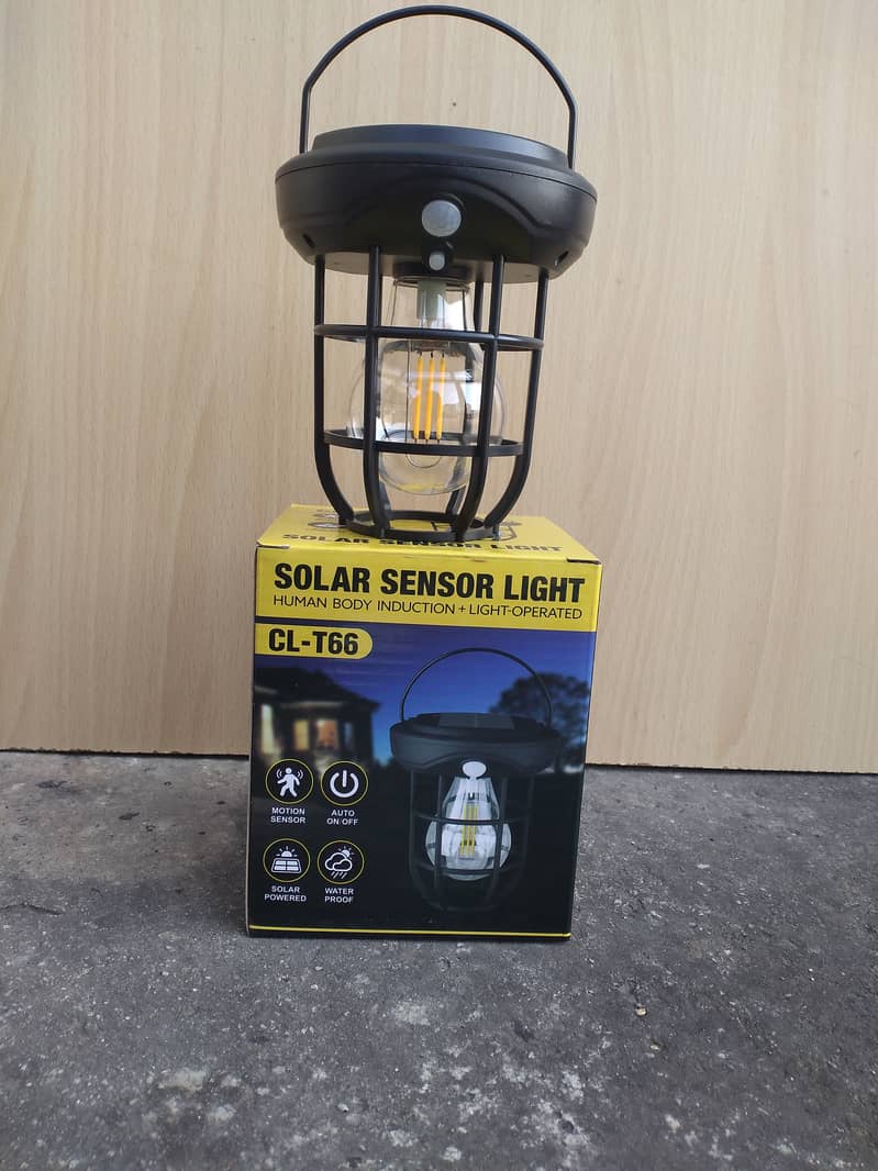 Solar fancy bulbs and lights 14