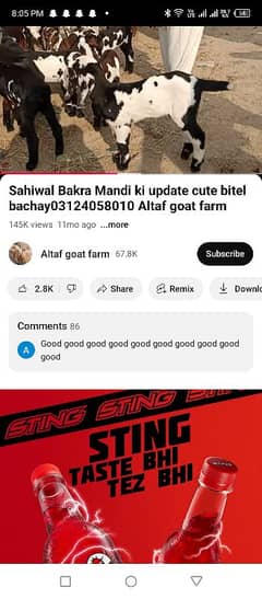 Bakra bakra