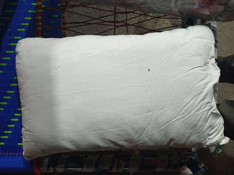 single bed Razai ( blanket ) Taliai and pillow available 5