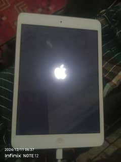 apple ipad