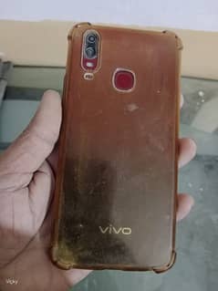 vivo