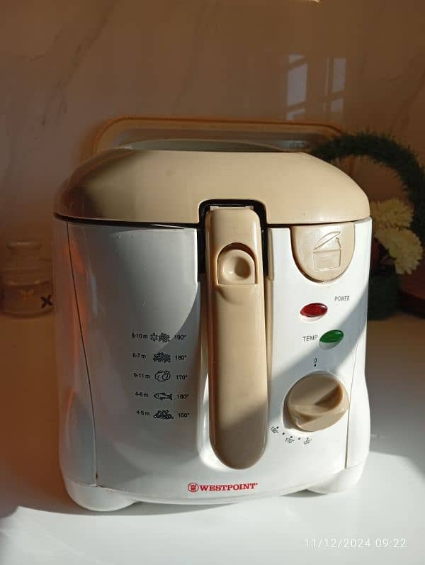 electric deep fryer 1