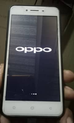 oppo