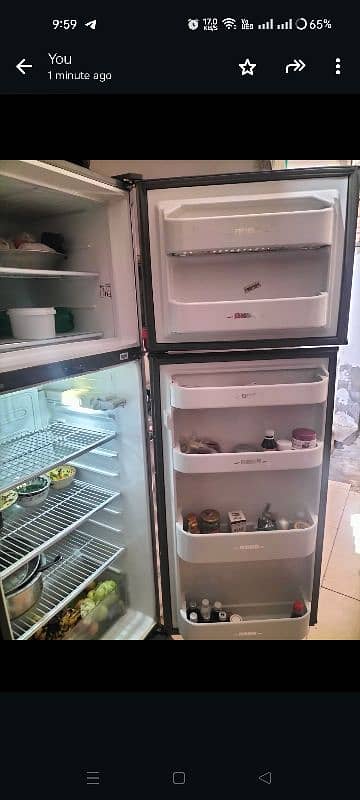 Refrigerator /Freezer 9