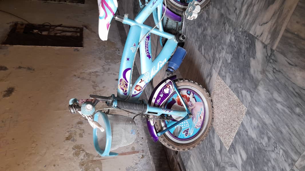 Kids bicycle 2