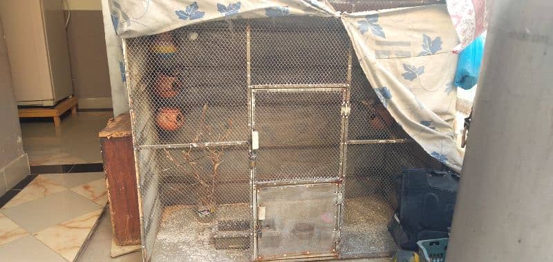 Cage for sale urgent 0