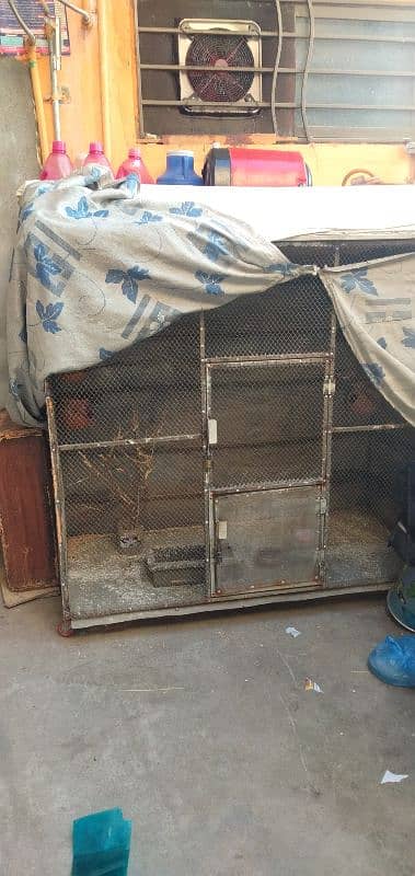 Cage for sale urgent 2