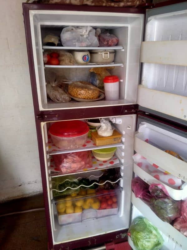 Orient fridge 1