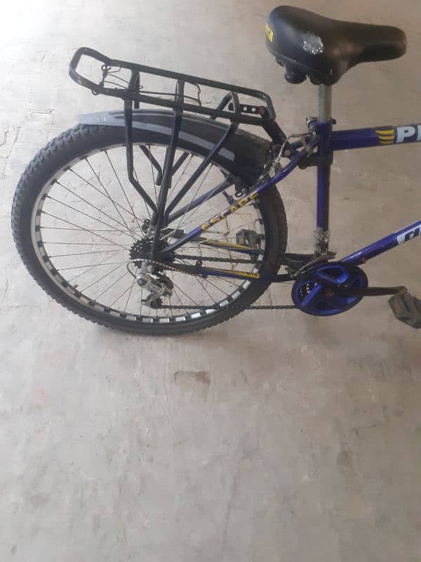 bacyle for sale fonerx  good condition  my contact 03074974805 3