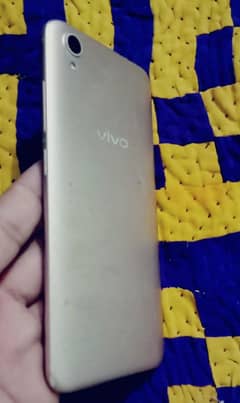 VIVO