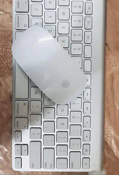 Apple Magic Mouse and Keyboard Pair available