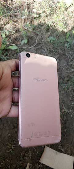 oppo