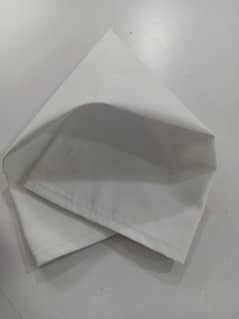 Clothe Napkins 15x20