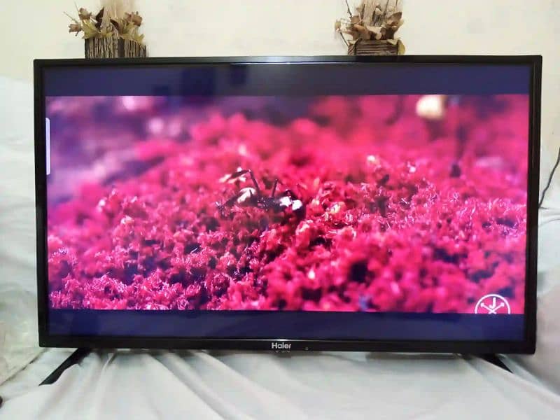 Haier 32″ inch LED TV HD H-Cast Series LE32B9200M 3