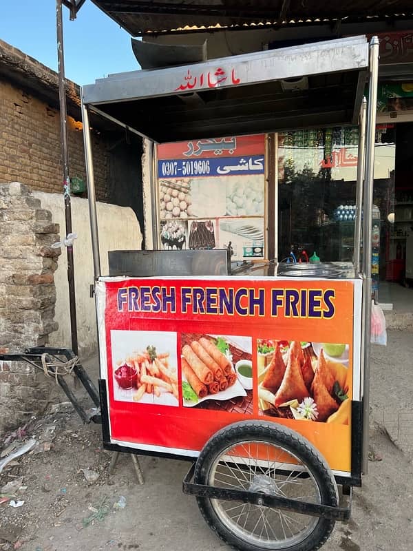 French Fries 7