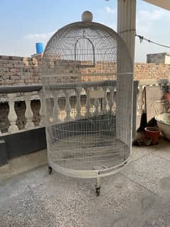 beautiful cage available for parrots