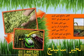 Corn Silage/Maki Silage/Animal FeeAl khair silage