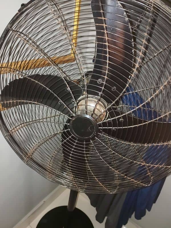 floor fan 1