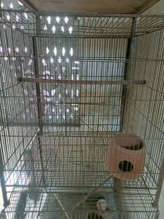 parrot cage