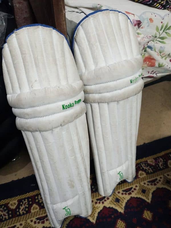 pads for cricket 0