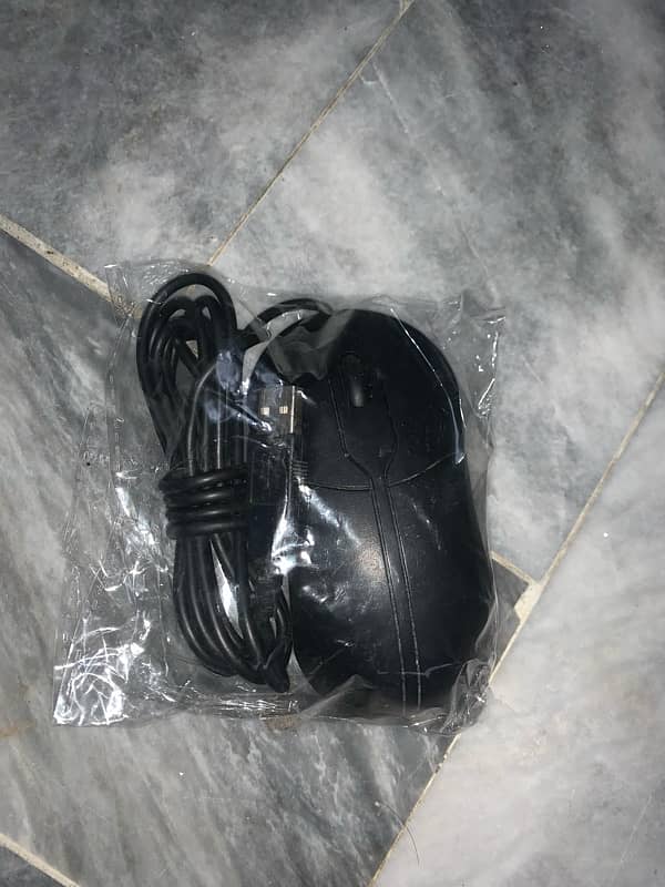 dell dolphin shape mouse 1