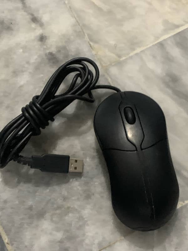 dell dolphin shape mouse 2