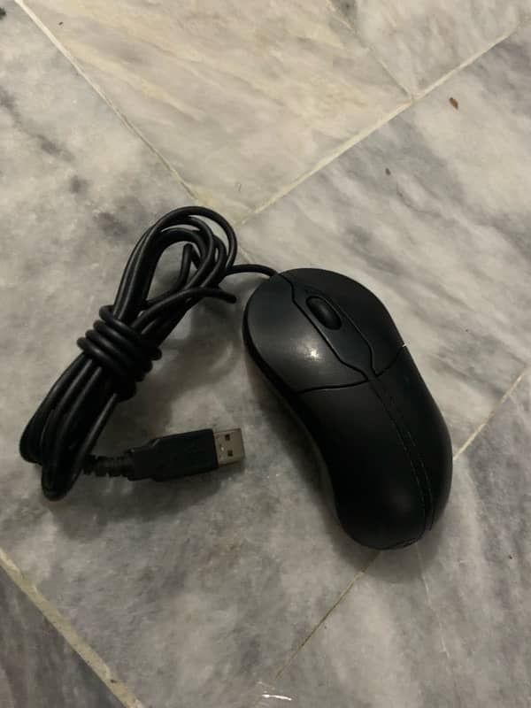 dell dolphin shape mouse 3