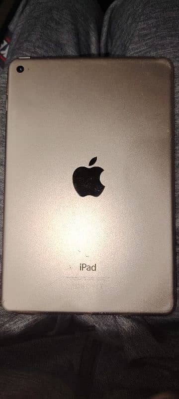 ipad mini 4 0