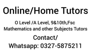 Online/Home Tutoring