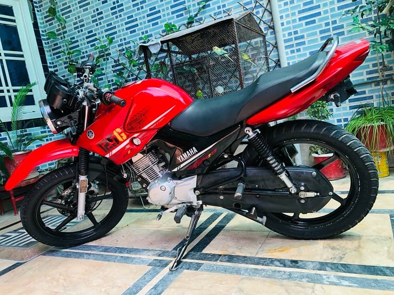 Yamaha YBR 125G RED Beast 3