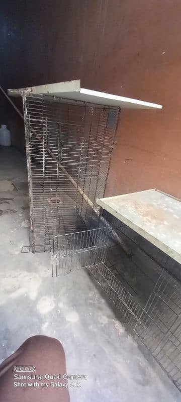 1 cage 6500 ka 2