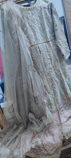 Elegant Pastel Embroidered with Intricate Detailing- Special Occasions