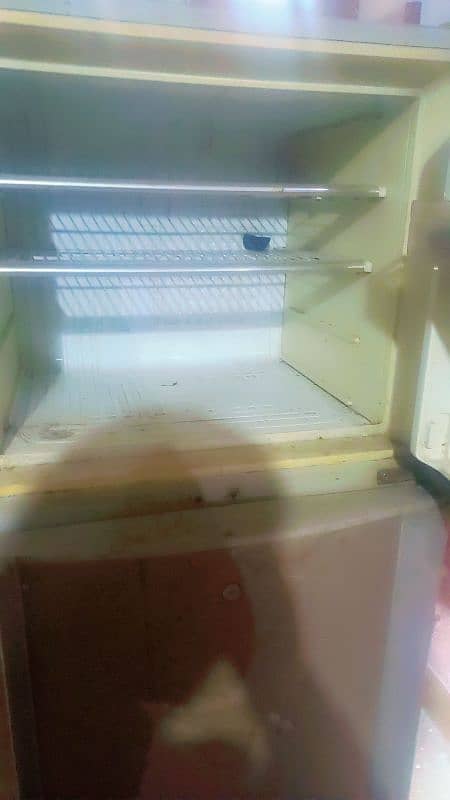 invesment  price fridge 3