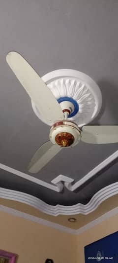 ceeling fan AC