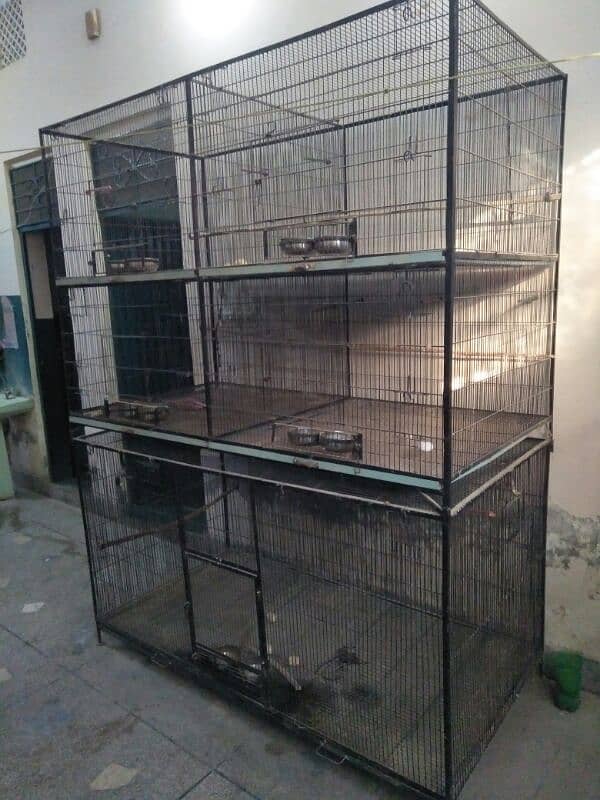 parrots cages for sale 0