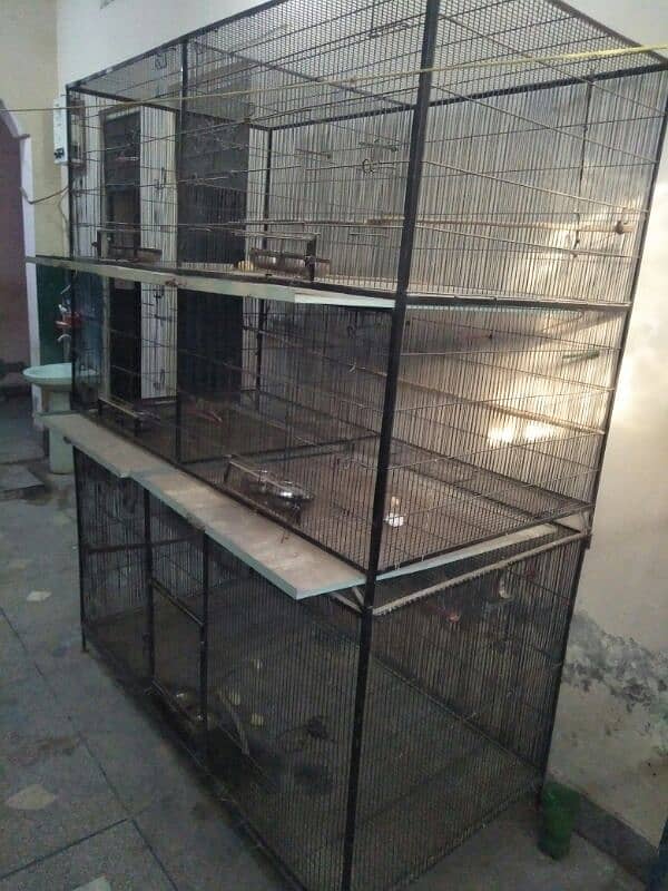 parrots cages for sale 5