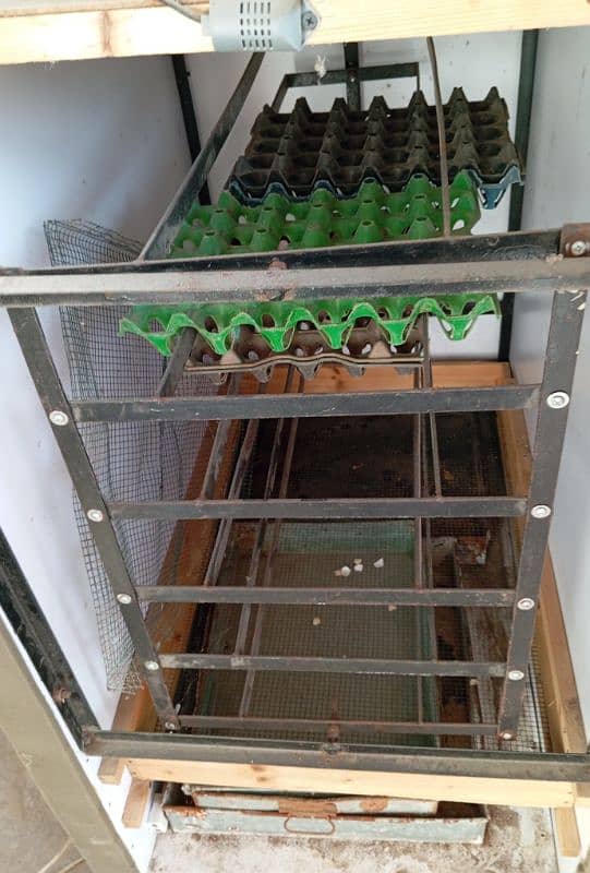 Full Automatic incubator 3