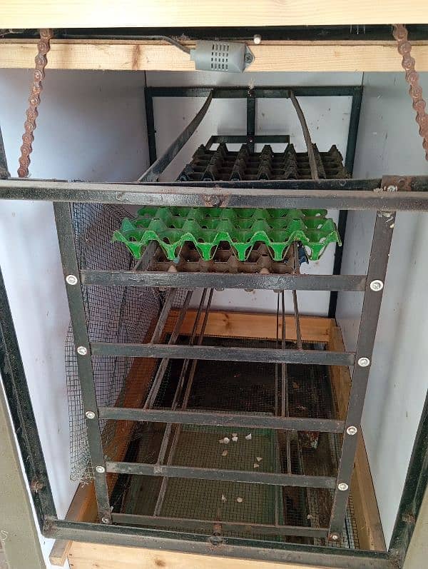 Full Automatic incubator 4