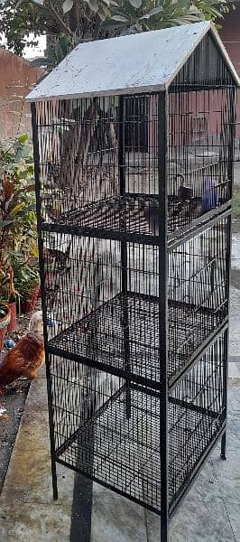 Cage for sale 2