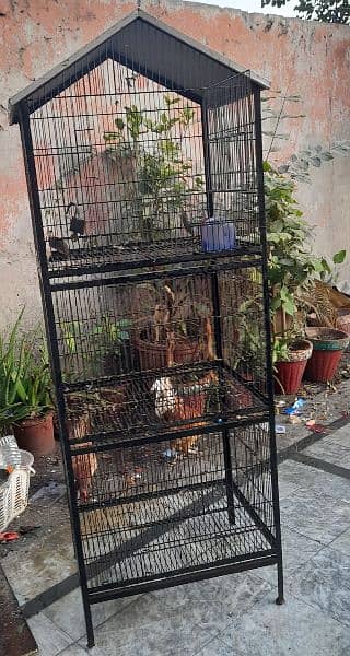 Cage for sale 3