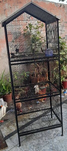 Cage for sale 4