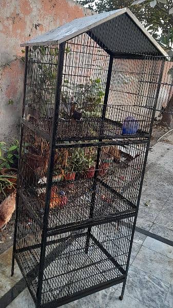 Cage for sale 5