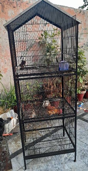 Cage for sale 6