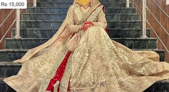 Bridal Lehenga | Wedding Dress | Walima Maxi | Party Wear Dress