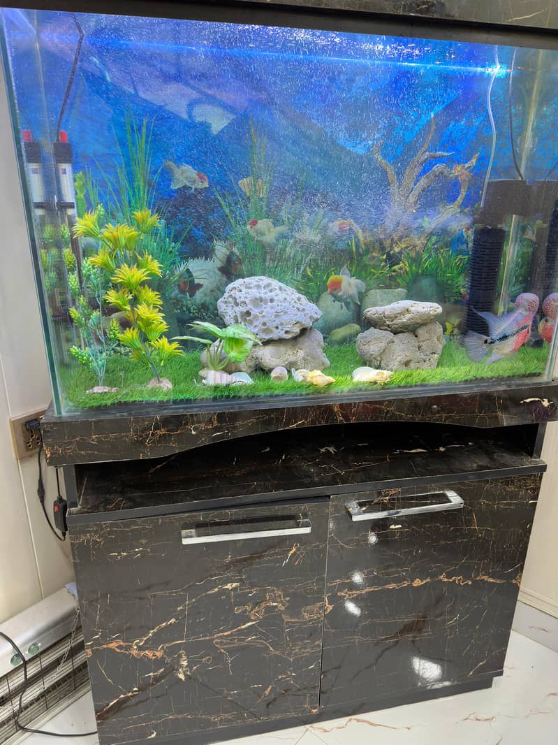 Fish Aquariums/ Aquariums For Sale 4