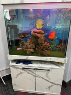 Fish Aquariums/ Aquariums For Sale