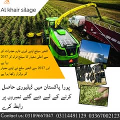 corn silage|silage for sale|al khair silage