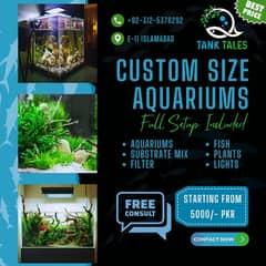 Fish Aquarium | Aquarium | fish tank | Aquarium Accessories | Fish