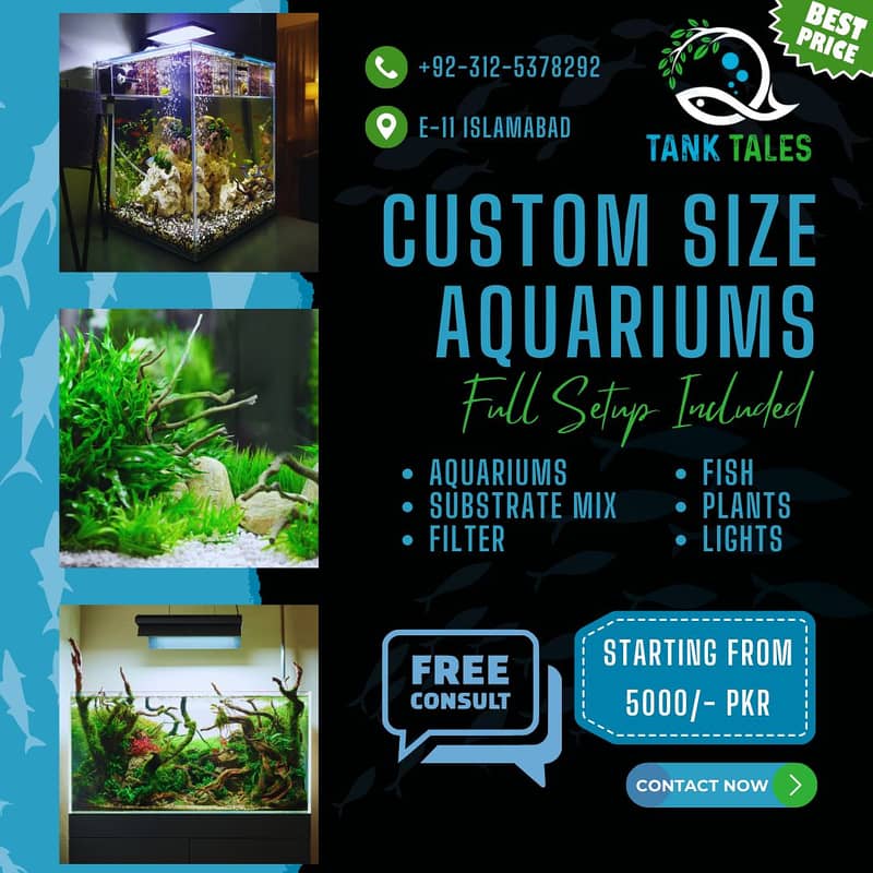 Customise Fish Aquarium | Aquarium | fish tank | Aquarium Accessories 1