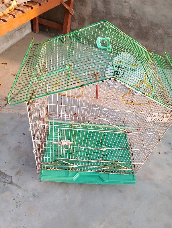 new cage for sale 2